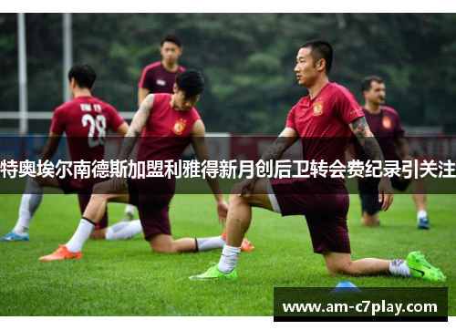 特奥埃尔南德斯加盟利雅得新月创后卫转会费纪录引关注